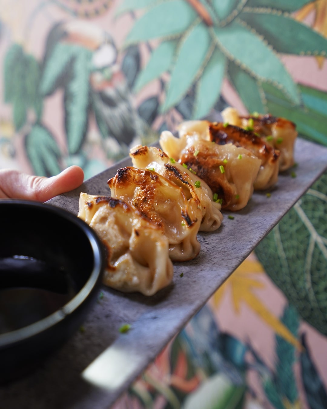 Plato con gyozas preparadas para servir